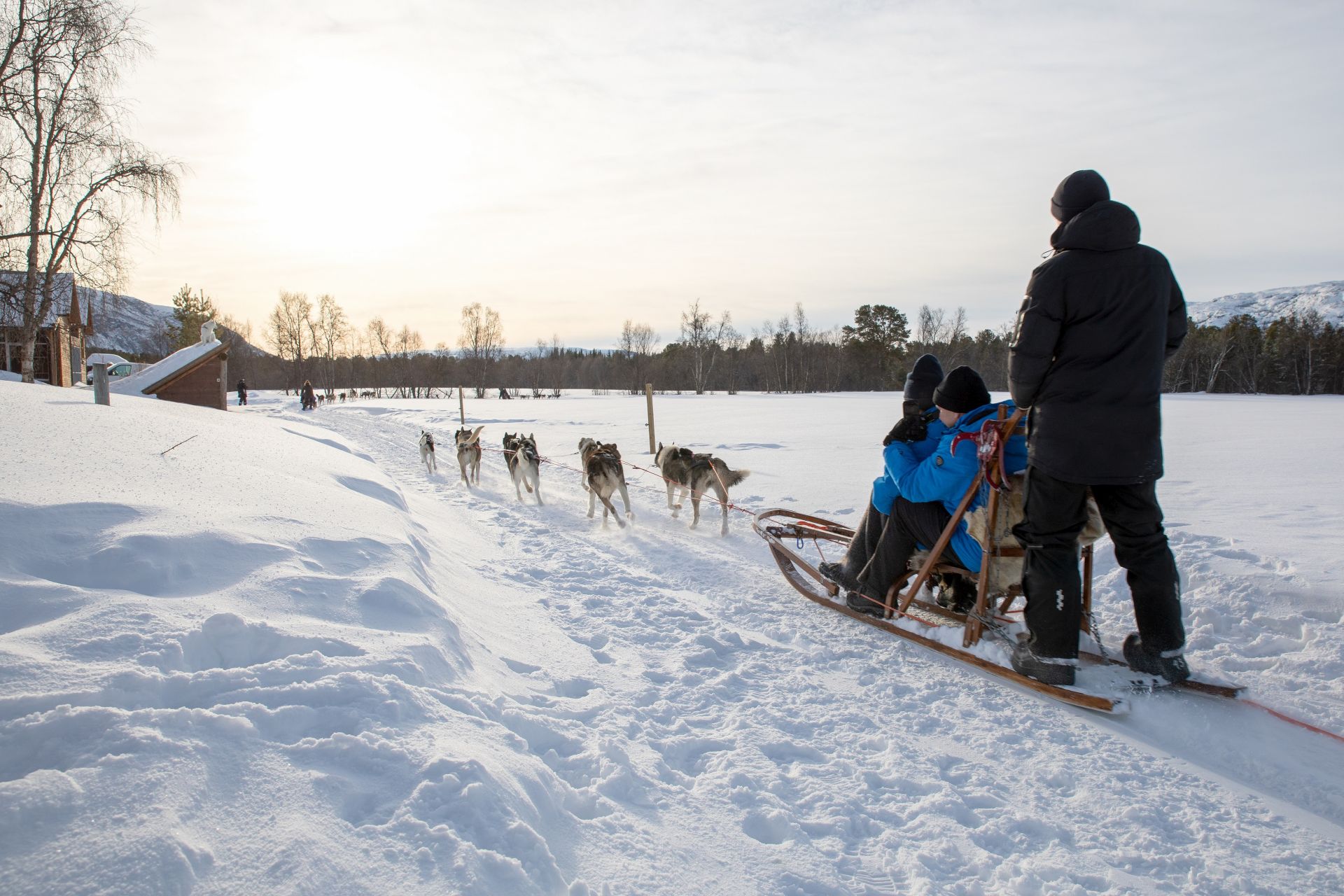 Schlittenfahrten mit Huskys ist eine der Outdoor-Aktivitäten - © Hapag-Lloyd Cruises/Niklas Faralisch