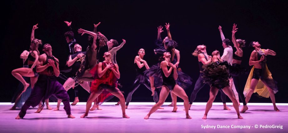 Sydney Dance Company - © PedroGreig