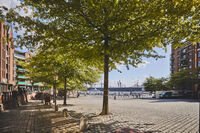 Fischmarkt   Tagsueber   © Mediaserver Hamburg   ThisIsJulia Photography   Julia Schwendner (2)