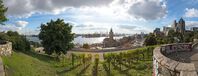 Blick vom Stintfang über den Weinberg auf den Hafen und die Landungsbrücken   © Mediaserver Hamburg   Andreas Vallbracht