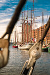 Traditionelle Segelschiffe in der Hafencity   © Mediaserver Hamburg   Ingo Boelter